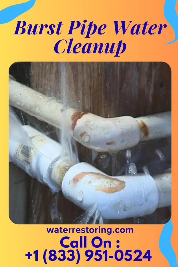Burst Pipe Water Cleanup in Killbuck, OH