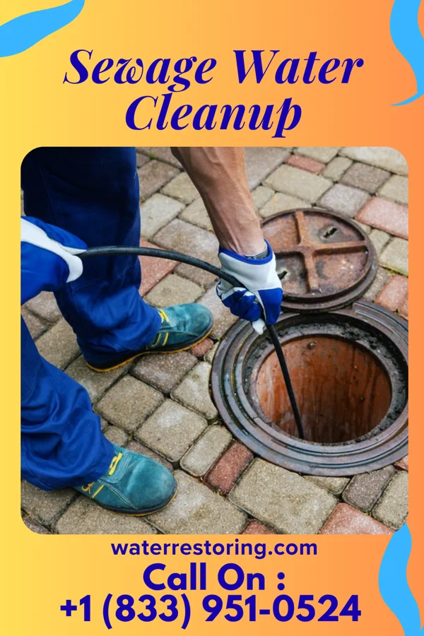 Sewage Water Cleanup in Killbuck, OH